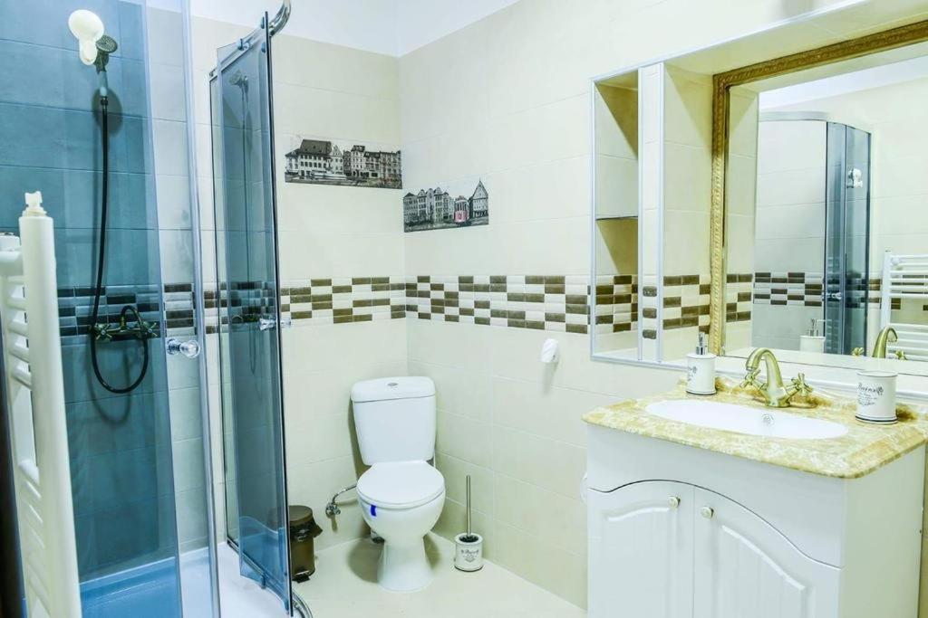 Mary Apartment Old Town Braşov Dış mekan fotoğraf