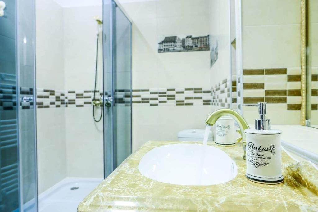 Mary Apartment Old Town Braşov Dış mekan fotoğraf